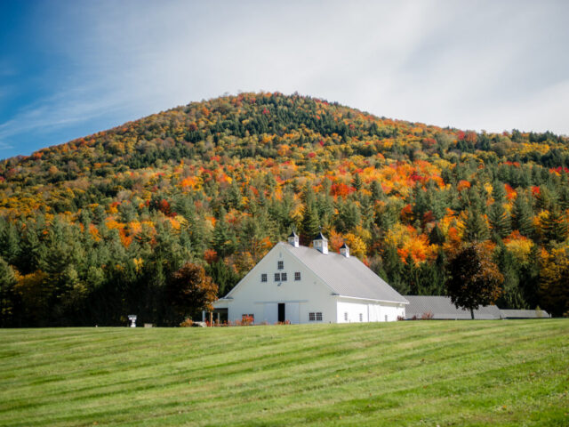 Why Fall Weddings in Vermont Feel Timeless